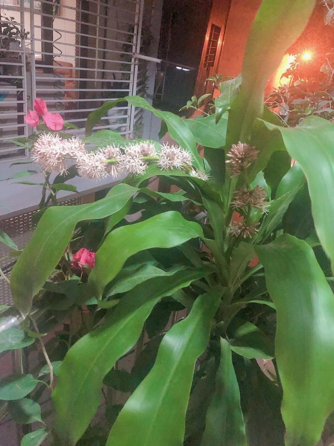 Li Homestay 134 Tran Binh, My Dinh, Nam Tu Liem, Ha Noi Ханой Екстериор снимка